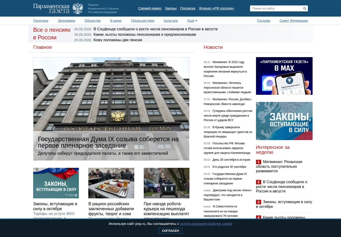 Screenshot of pnp.ru