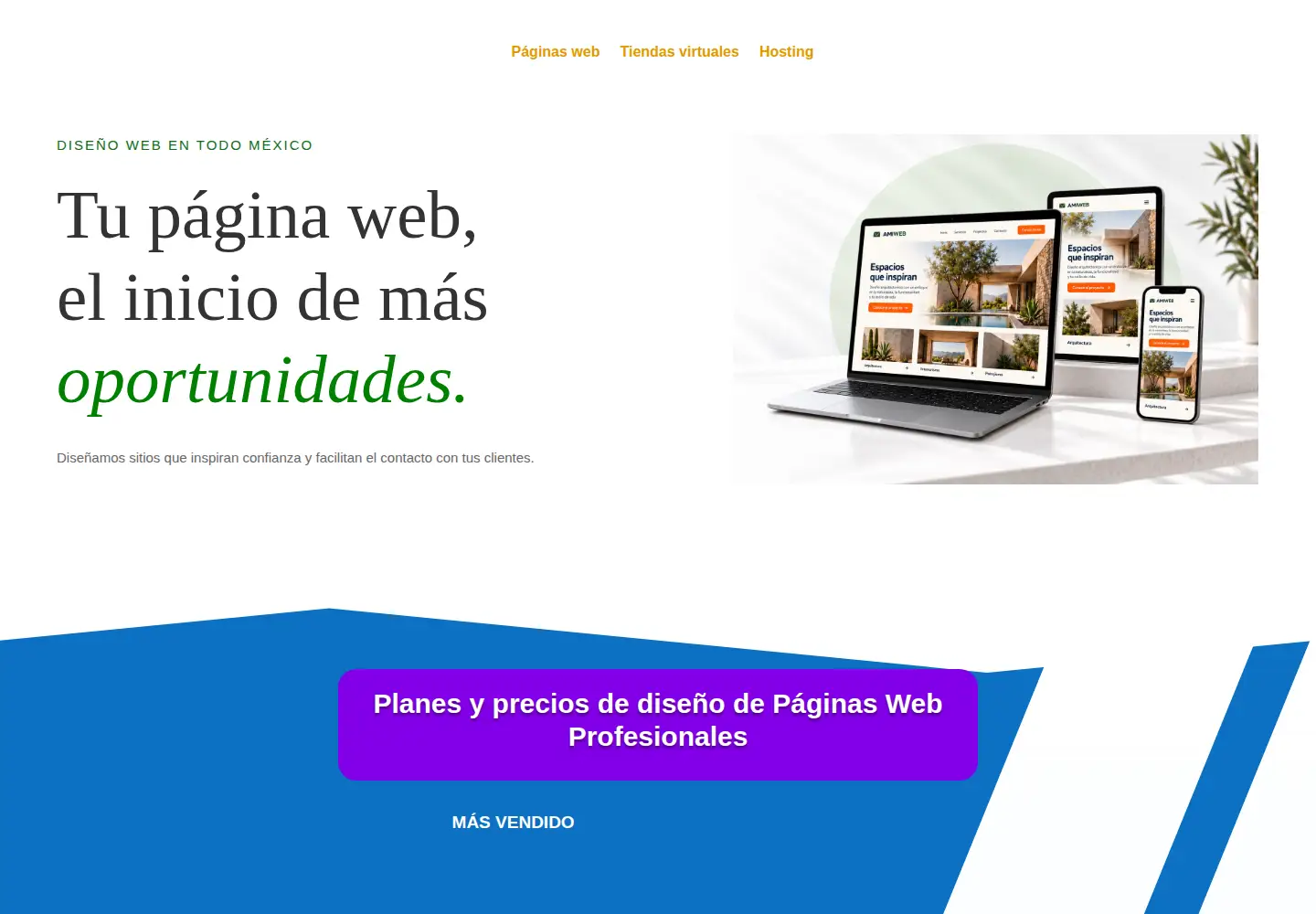 Screenshot of amiweb.com.mx