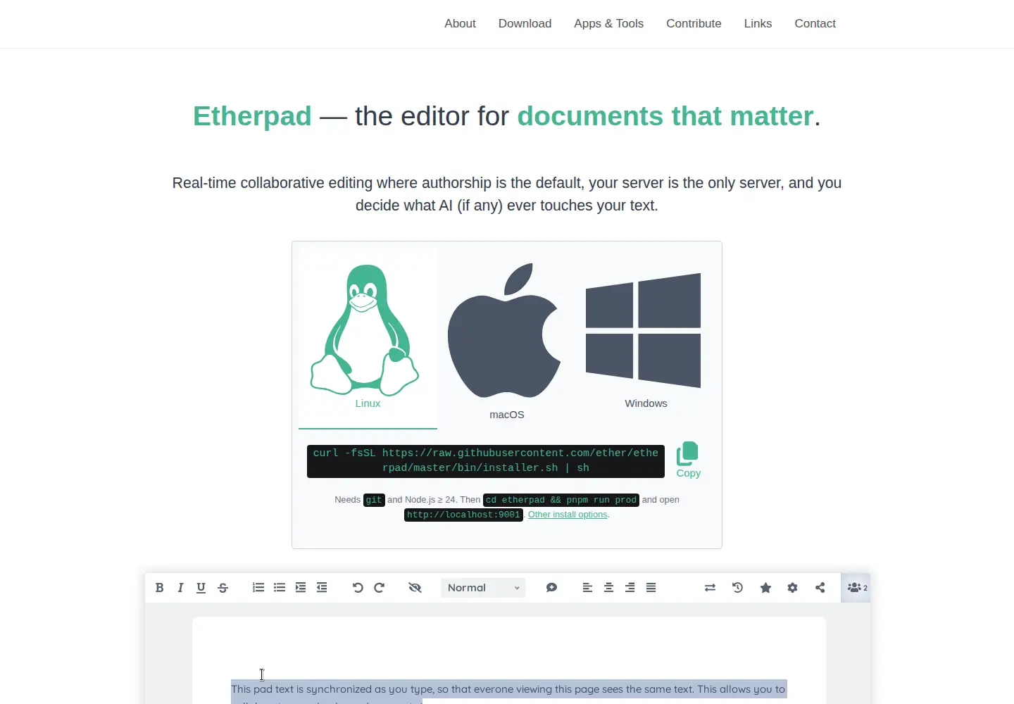 Screenshot of etherpad.org