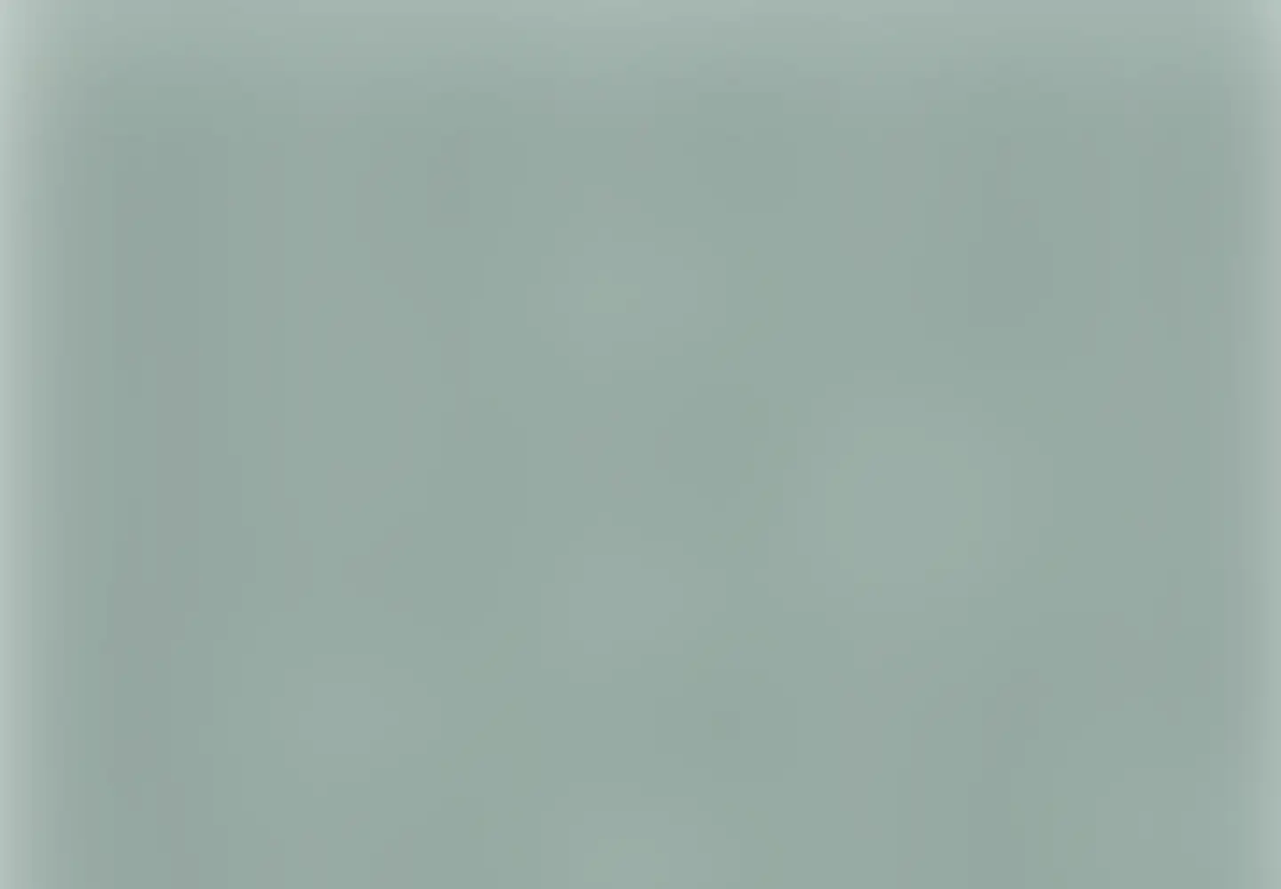 Blurred age-restricted screenshot of celinebarastudio.com in the current scan