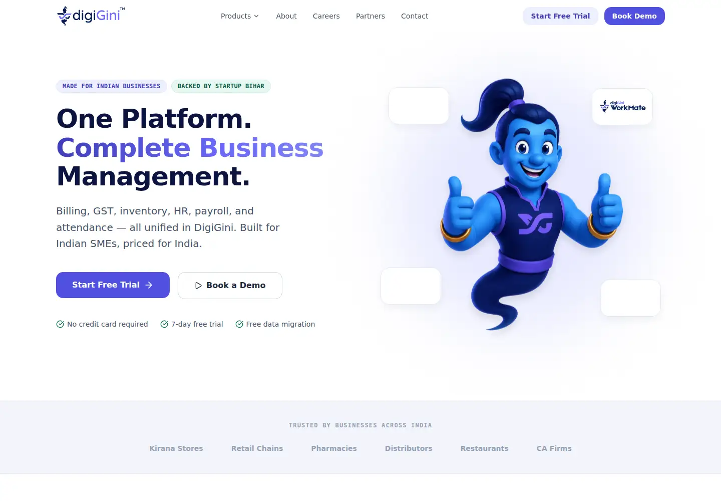 Captured homepage of digigini.com in the current scan
