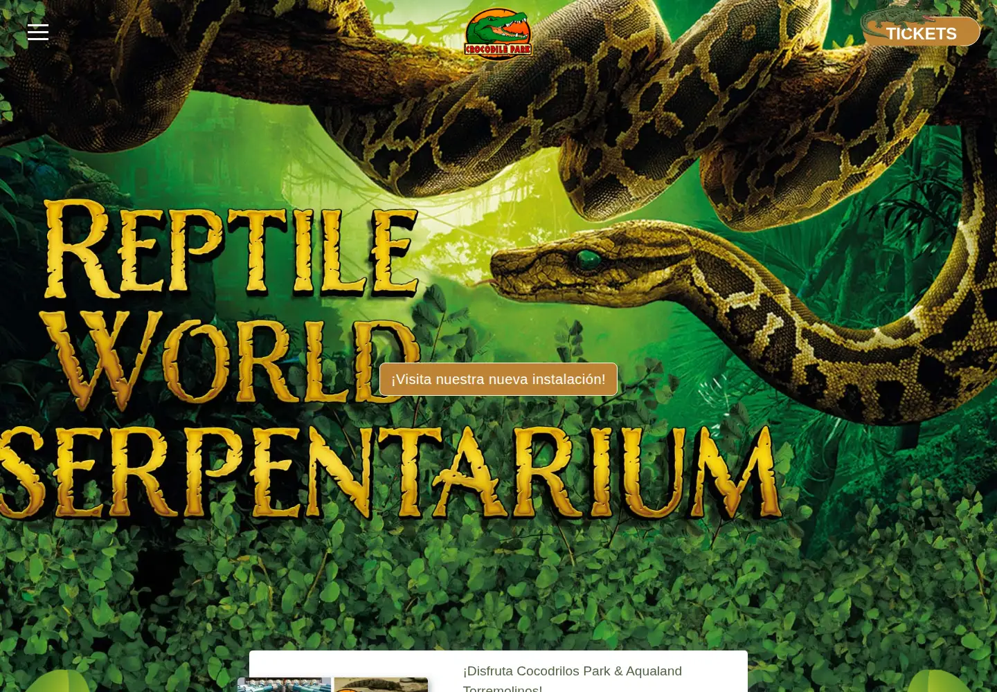 Captured homepage of cocodrilospark.com in the current scan