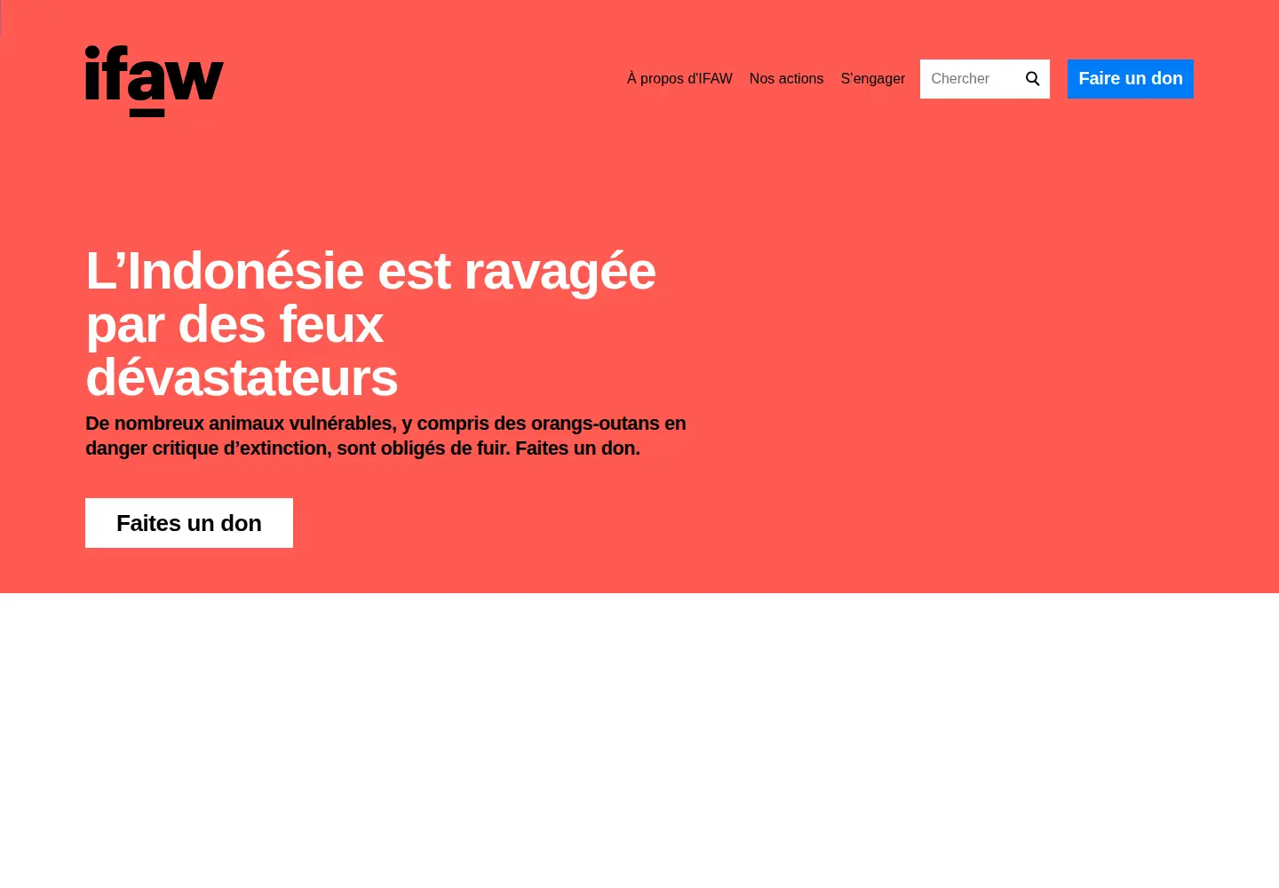 Screenshot of ifaw.org