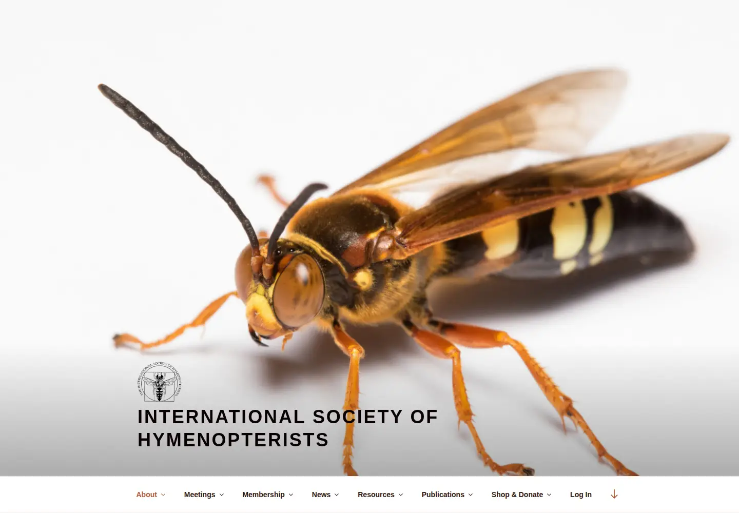 Screenshot of hymenopterists.org