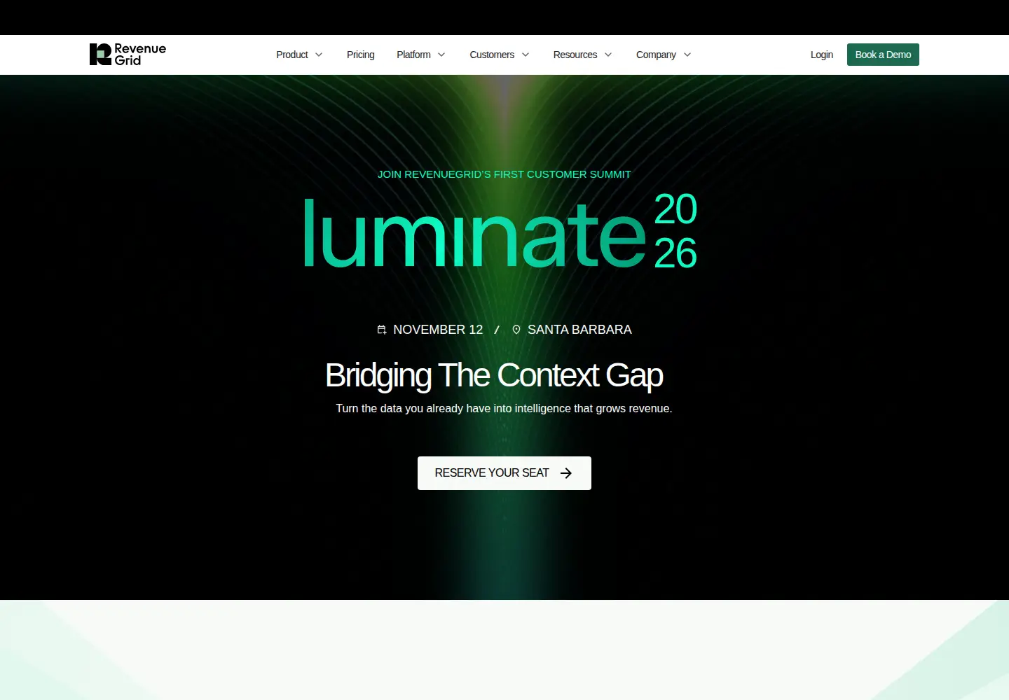 Captured homepage of revenuegrid.com in the current scan