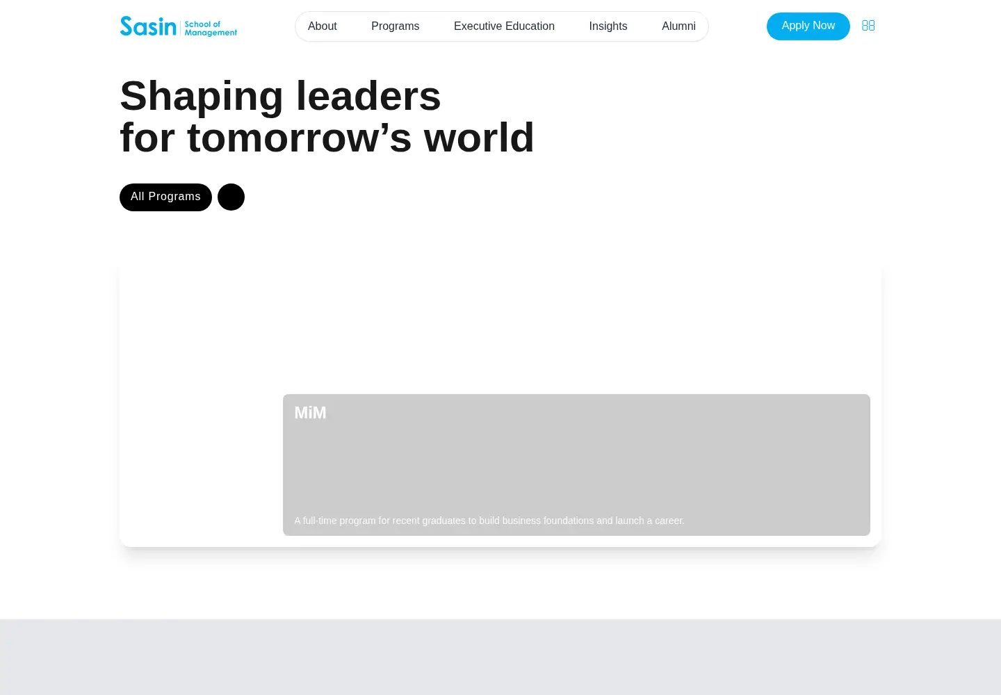 Screenshot of sasin.edu