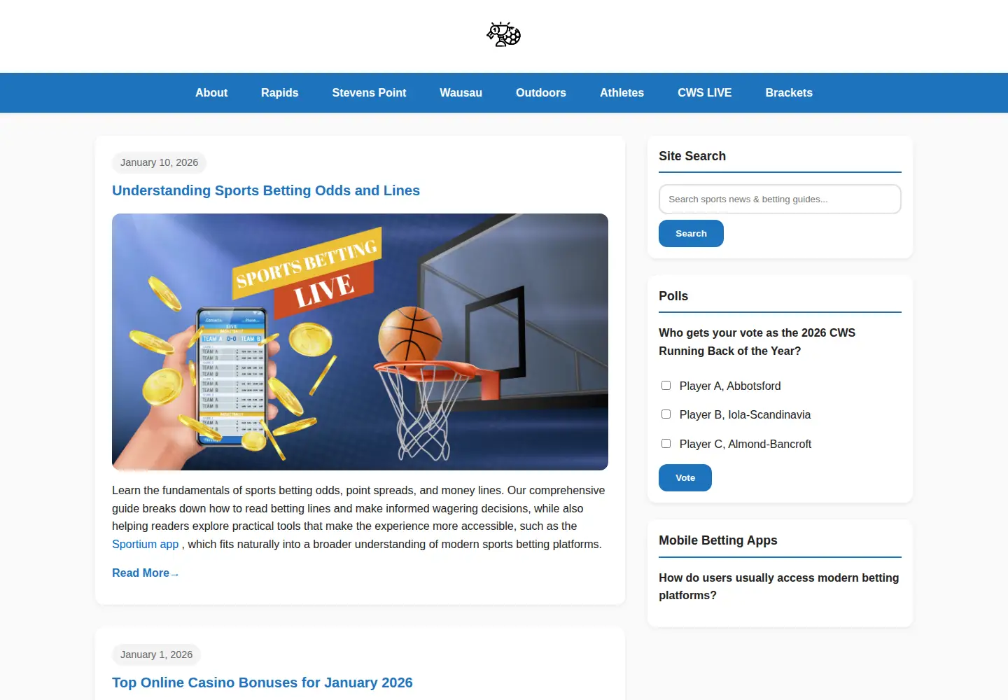 Screenshot of centralwisconsinsports.net