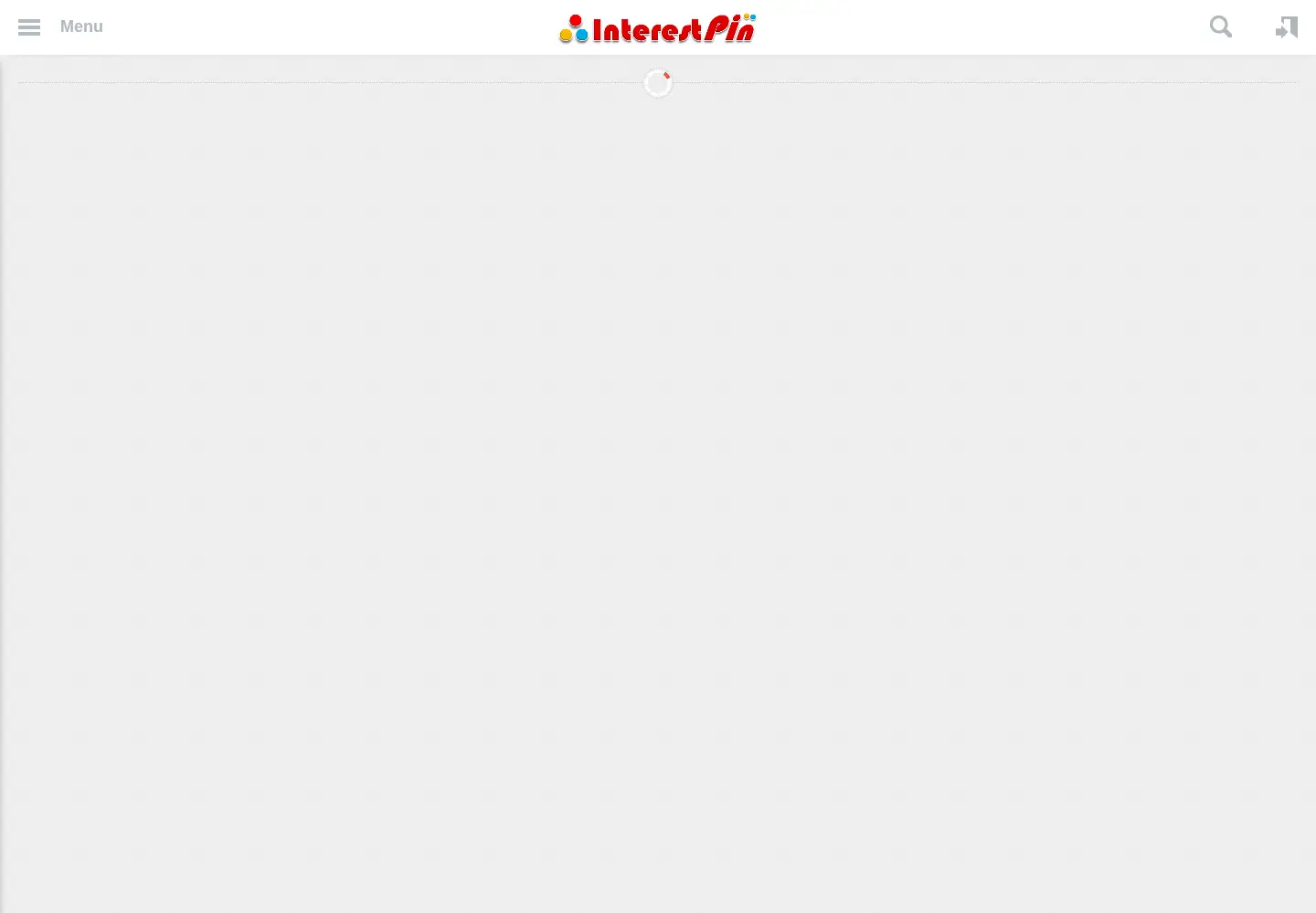 Captured homepage of interestpin.com in the current scan