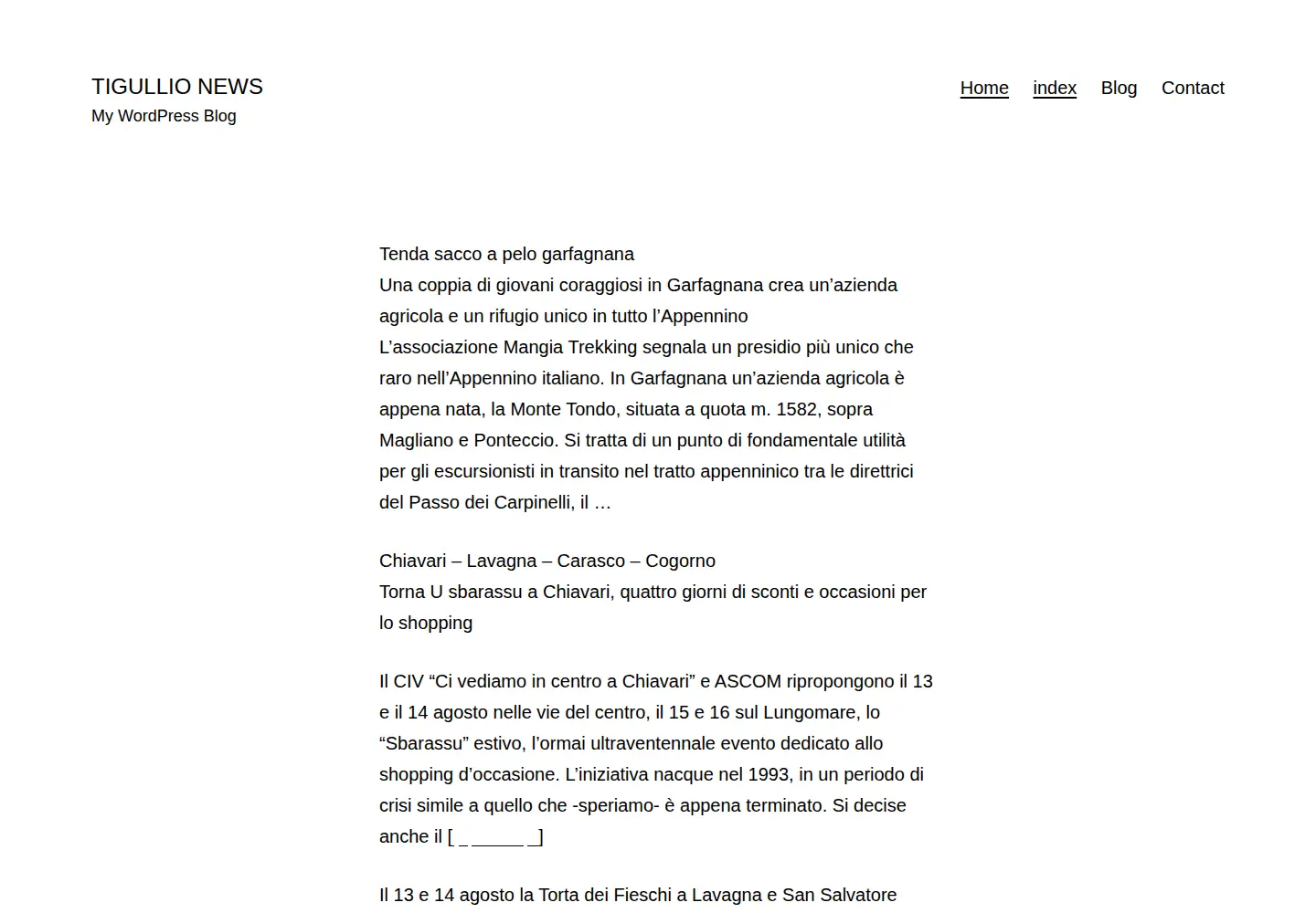 Screenshot of tigullionews.com