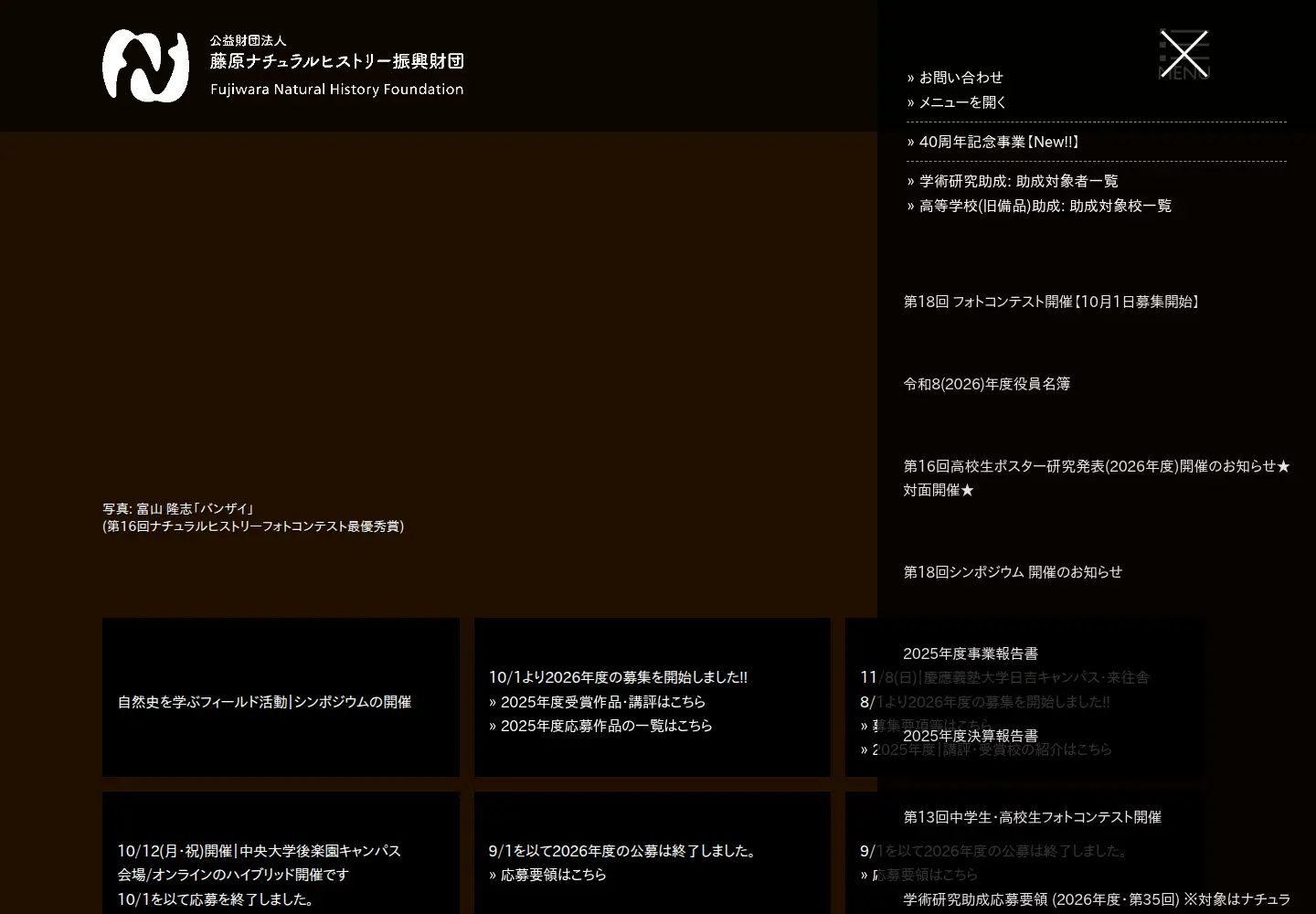 Screenshot of fujiwara-nh.or.jp