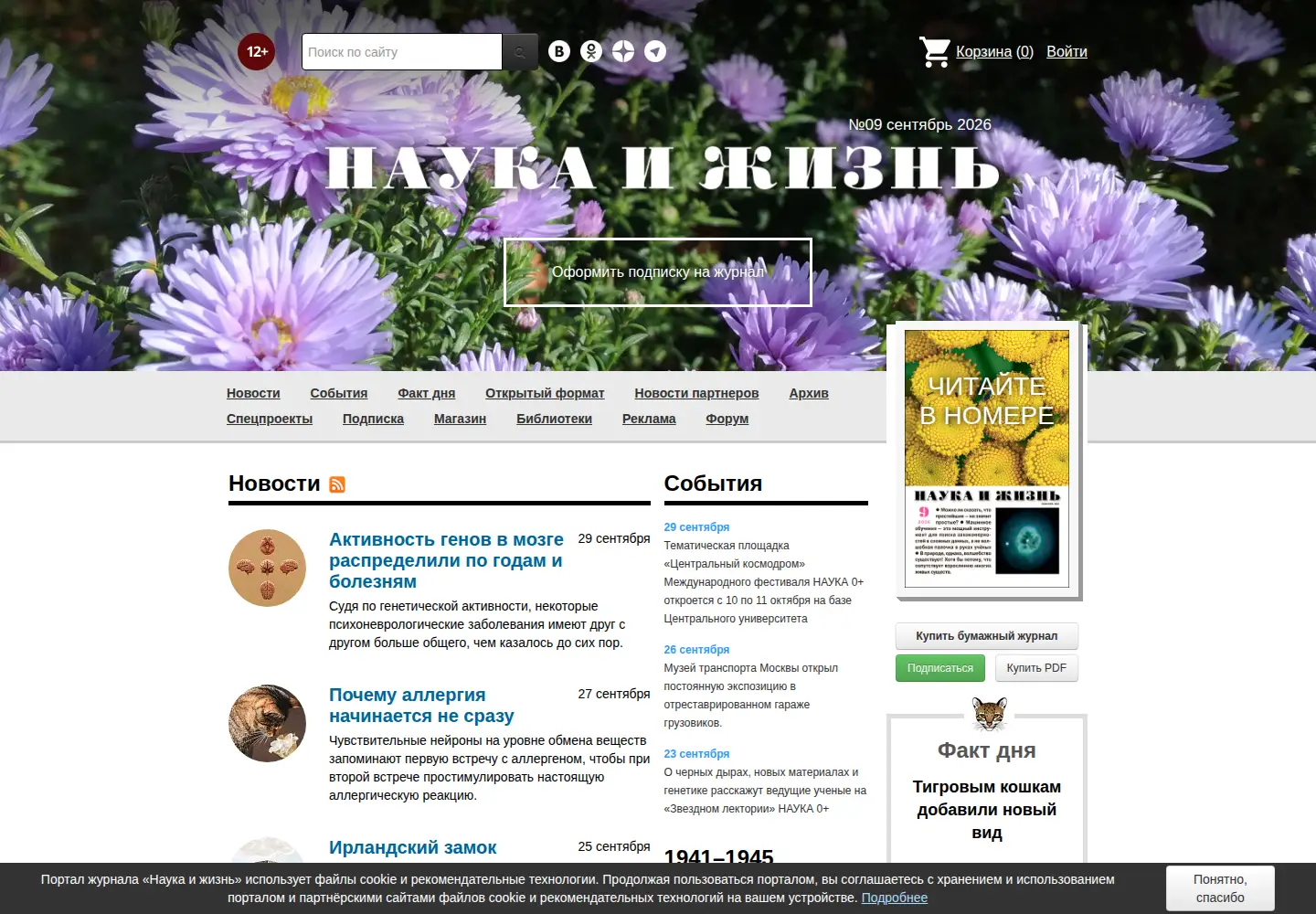 Screenshot of nkj.ru