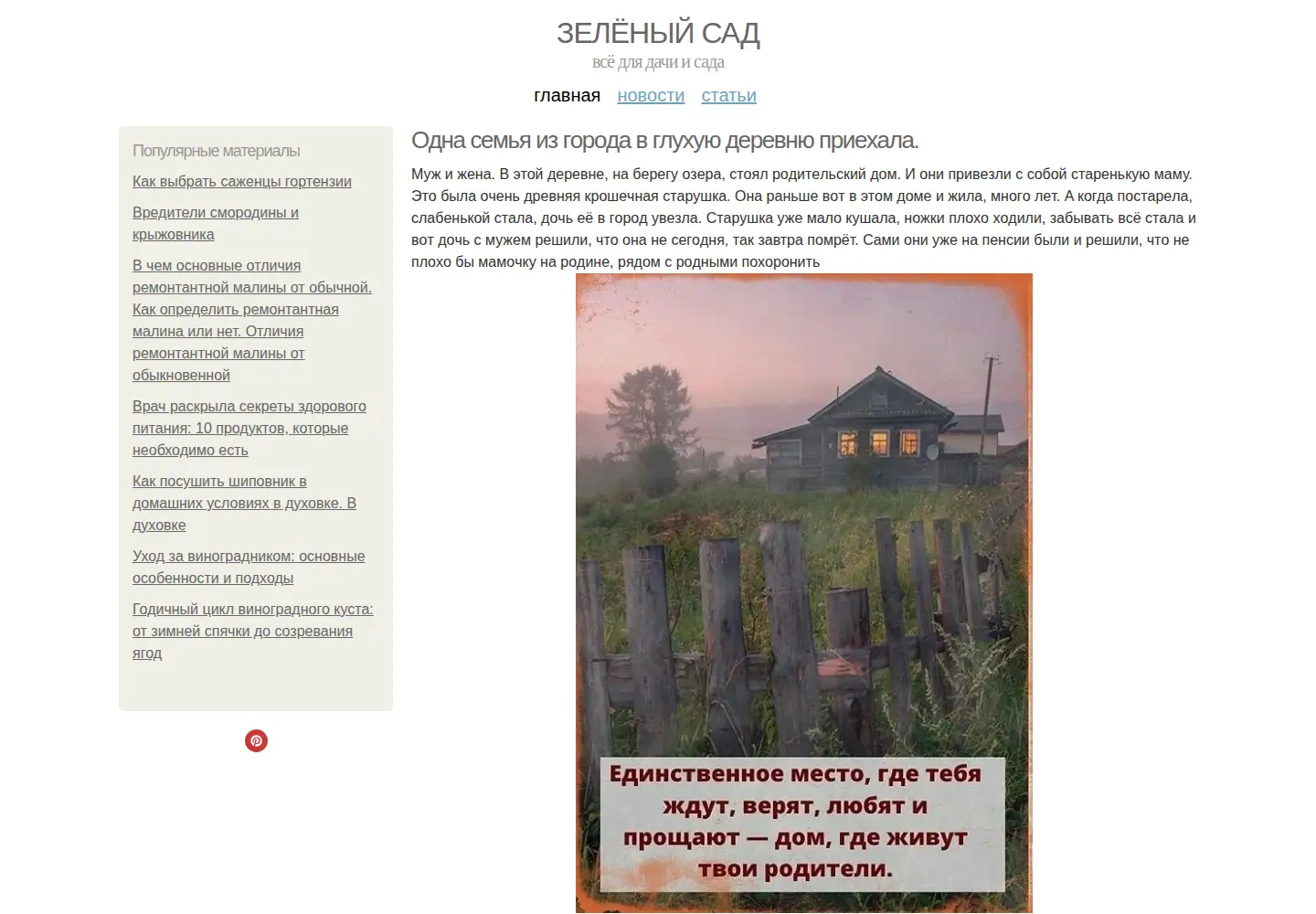 Screenshot of zelynyjsad.info