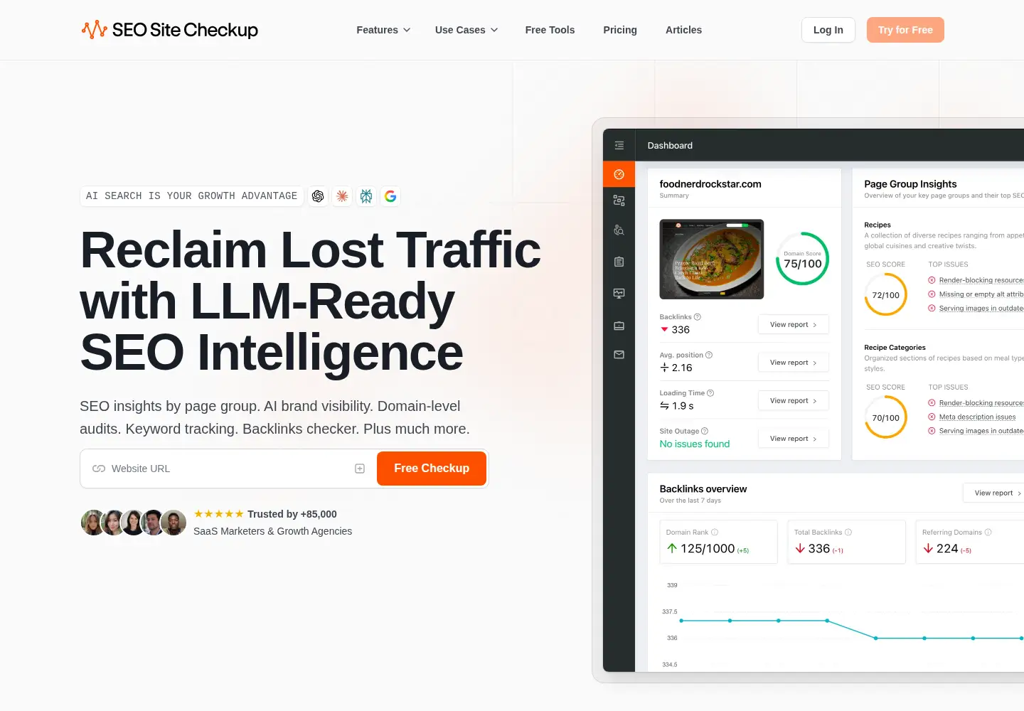 Screenshot of seositecheckup.com