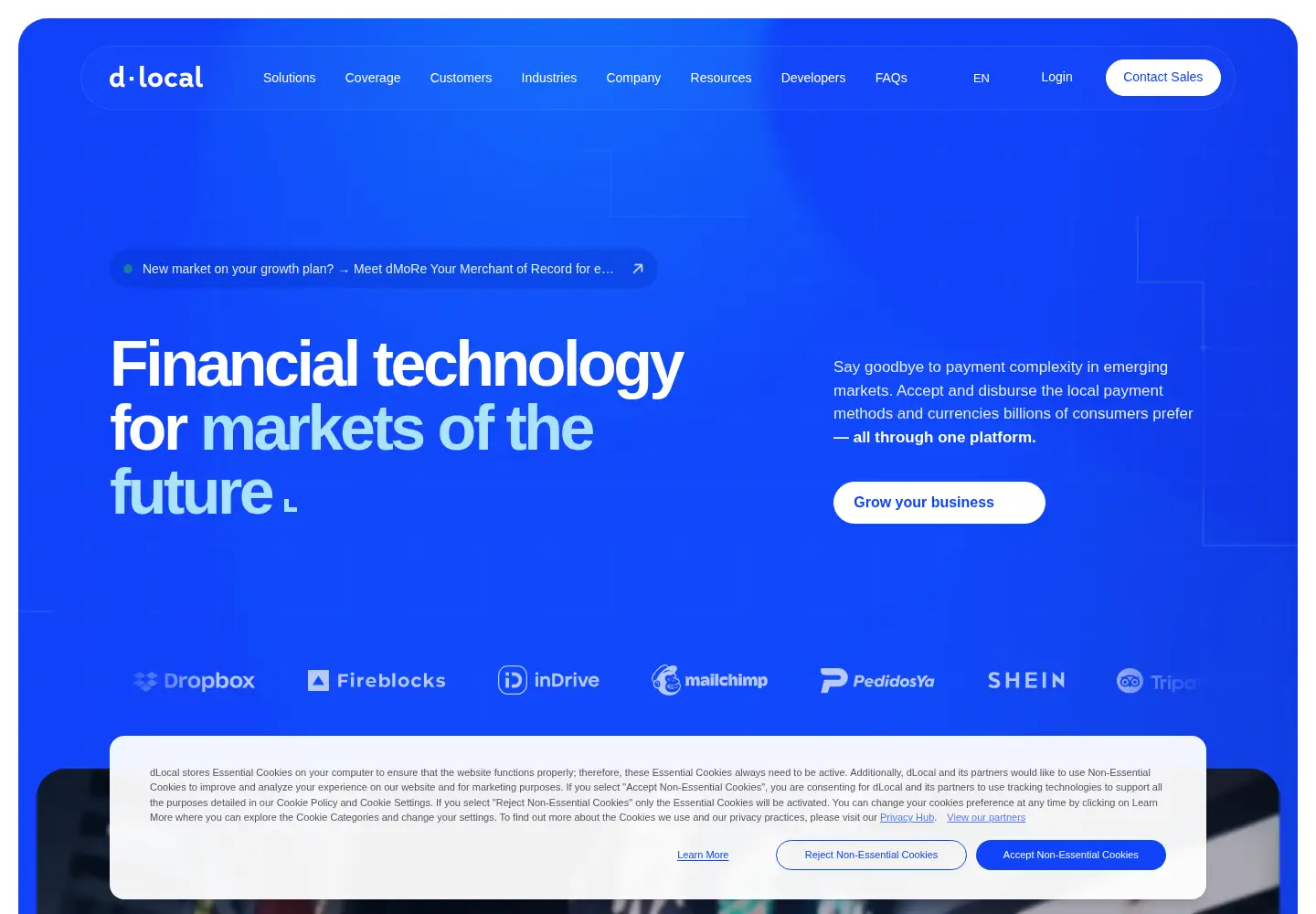 Screenshot of dlocal.com