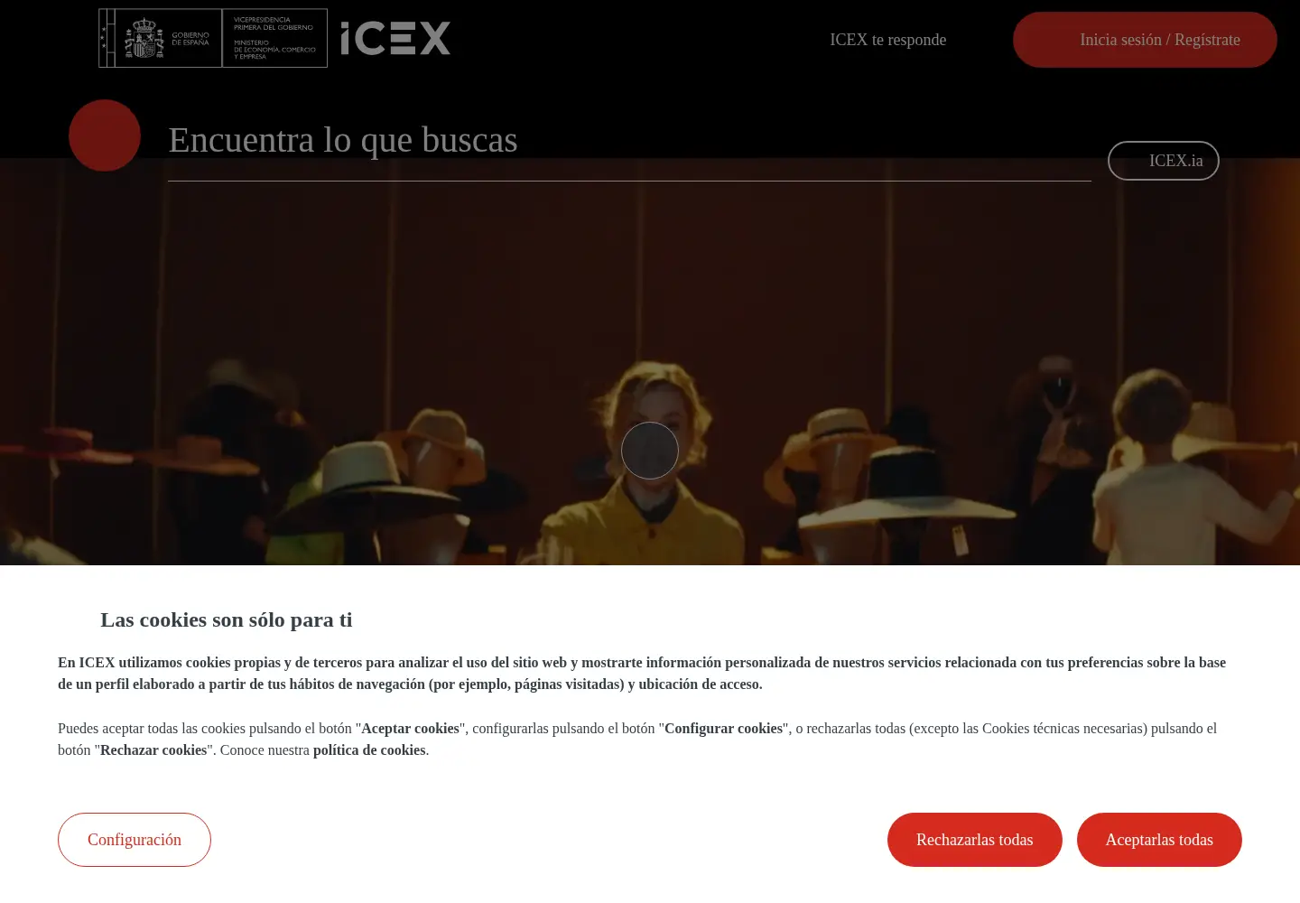 Screenshot of icex.es