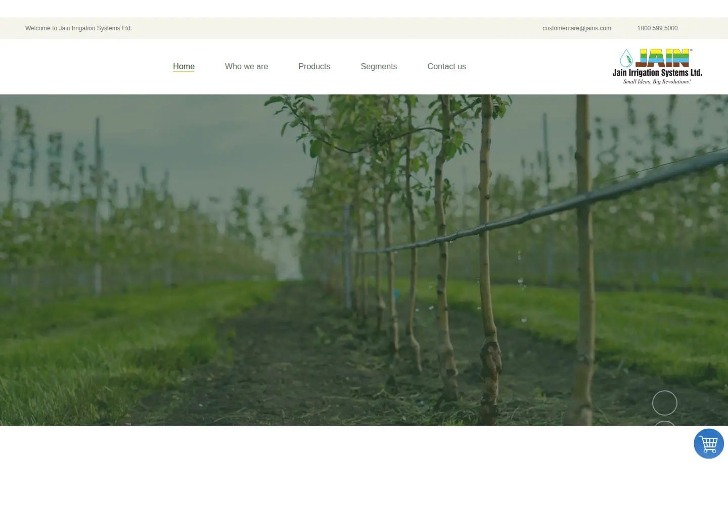 Captured homepage of jains.com in the current scan