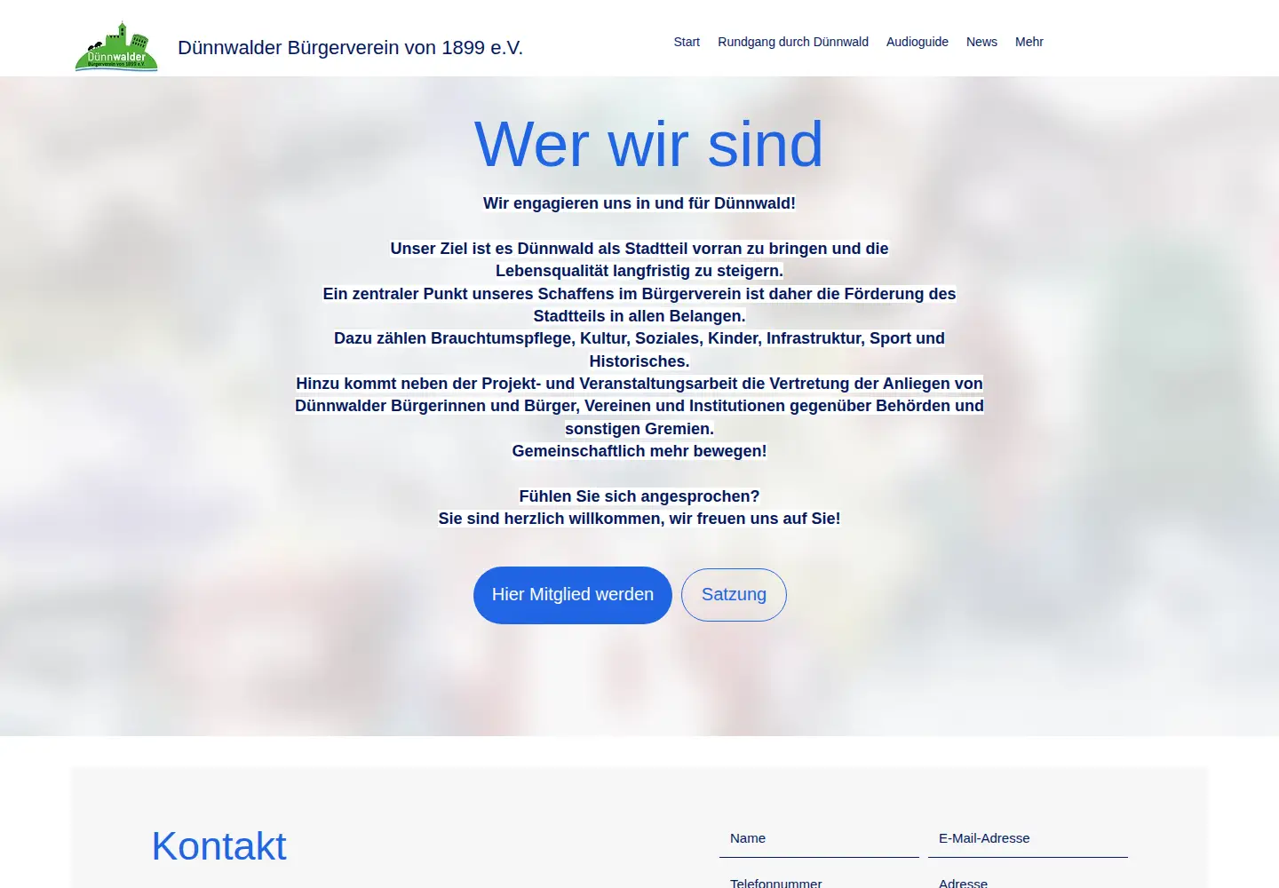 Captured homepage of duennwalder.de in the current scan
