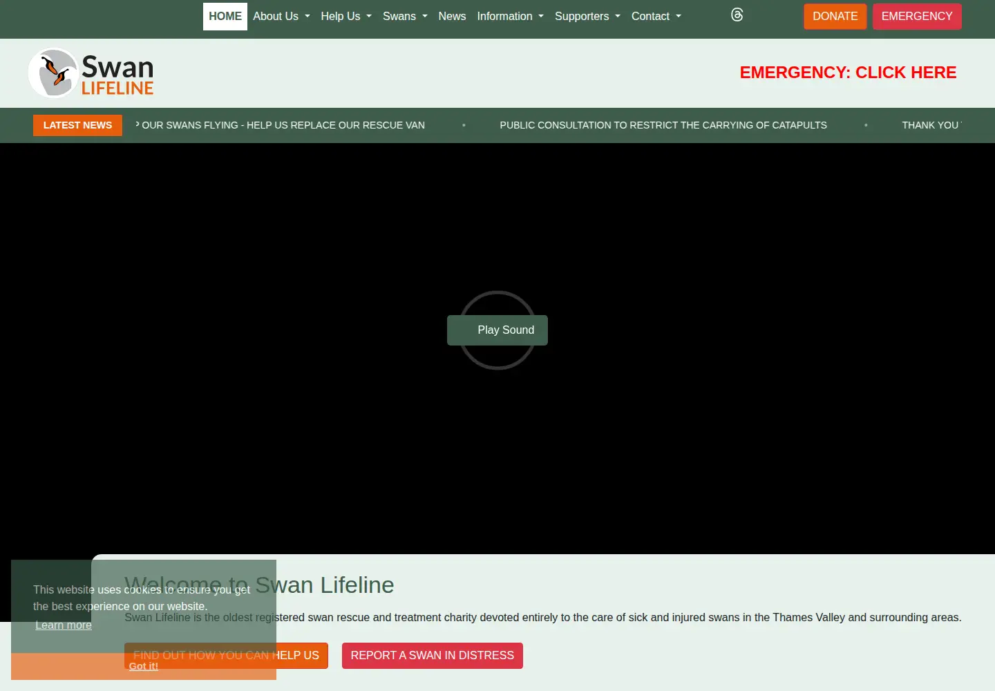 Screenshot of swanlifeline.uk