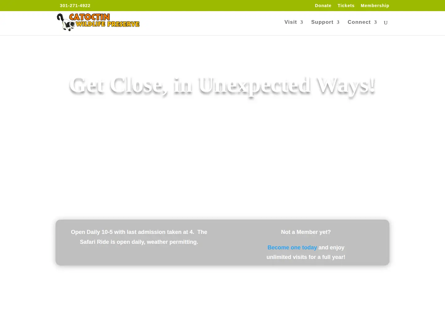 Captured homepage of catoctinwildlifepreserve.com in the current scan