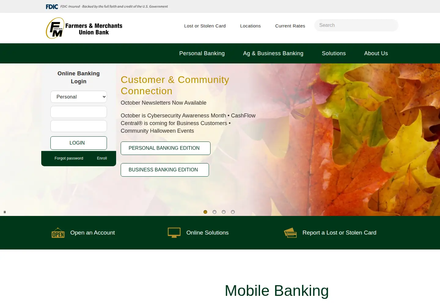 Captured homepage of fmub.com in the current scan