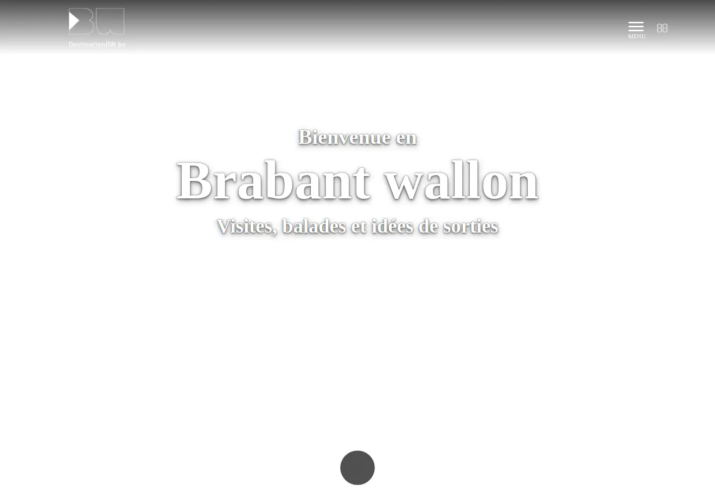 Captured homepage of destinationbw.be in the current scan