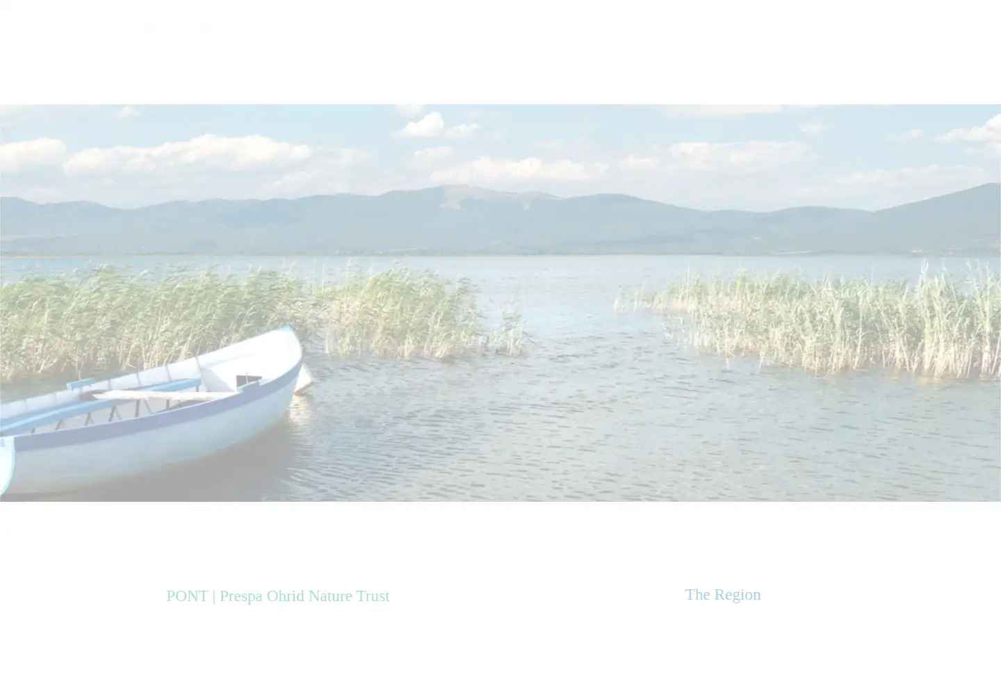 Captured homepage of pont.org in the current scan