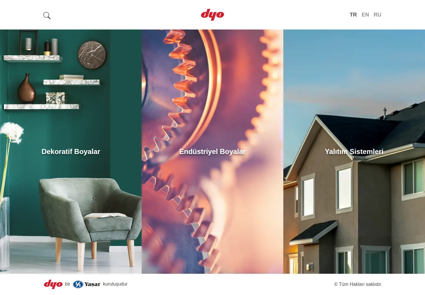 Screenshot of dyo.com.tr