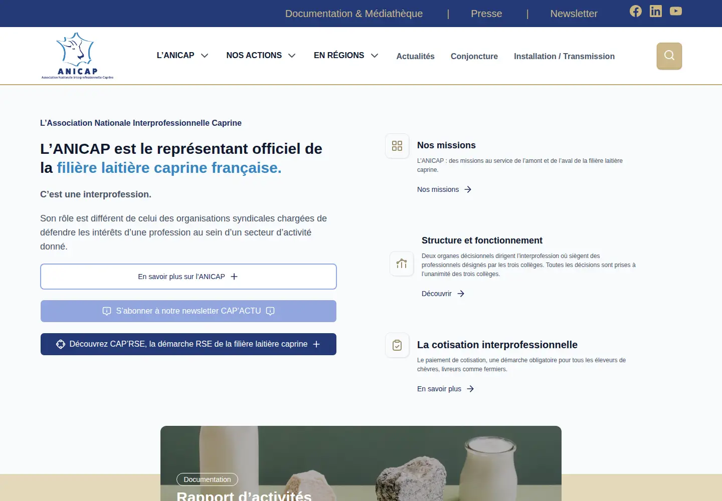 Screenshot of anicap.org