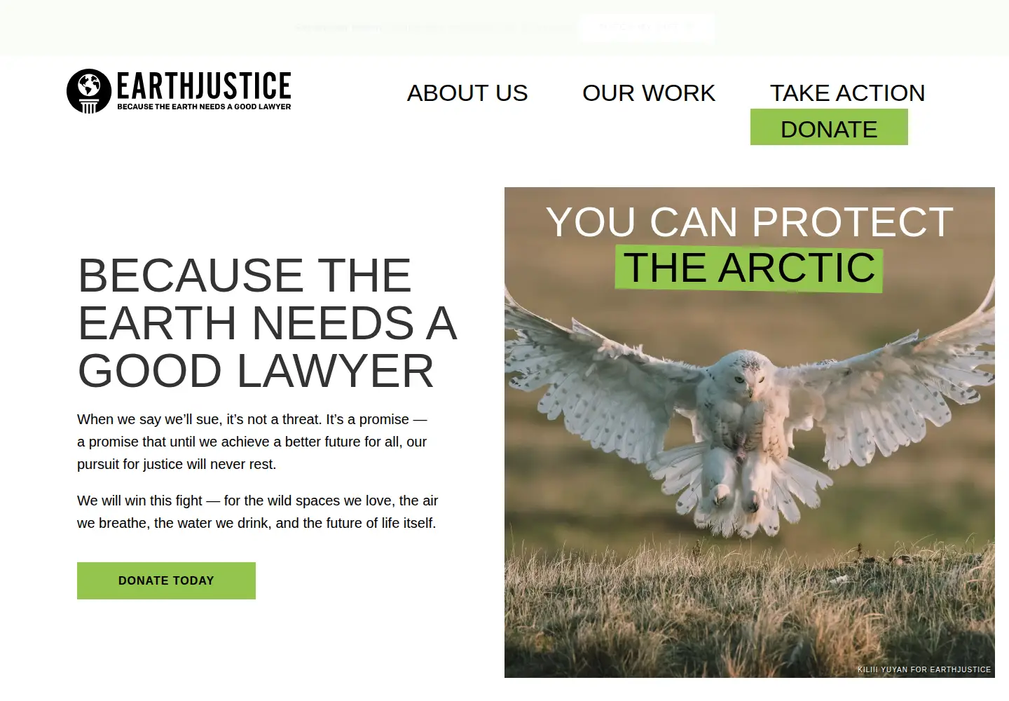 Screenshot of earthjustice.org