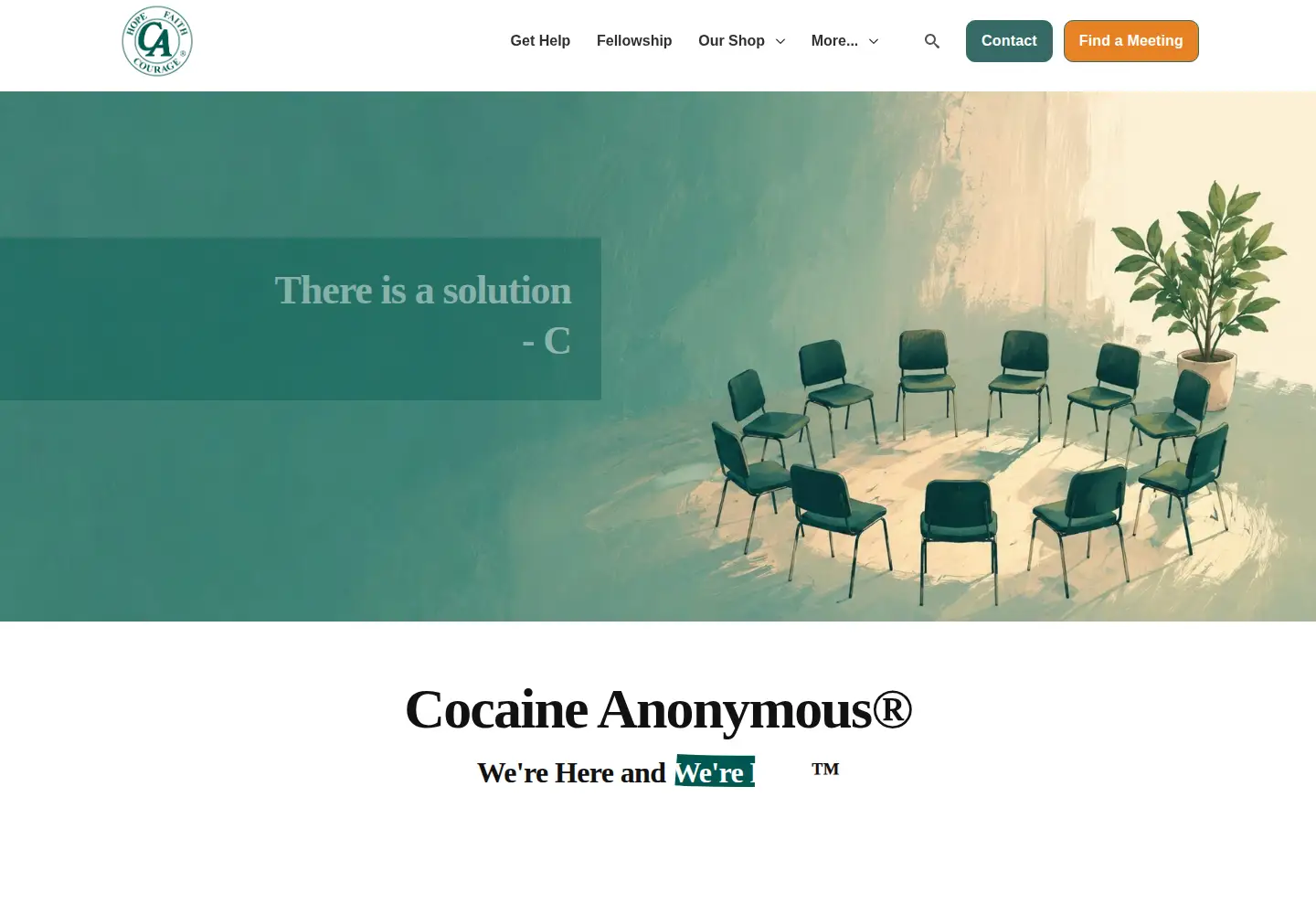 Screenshot of ca.org