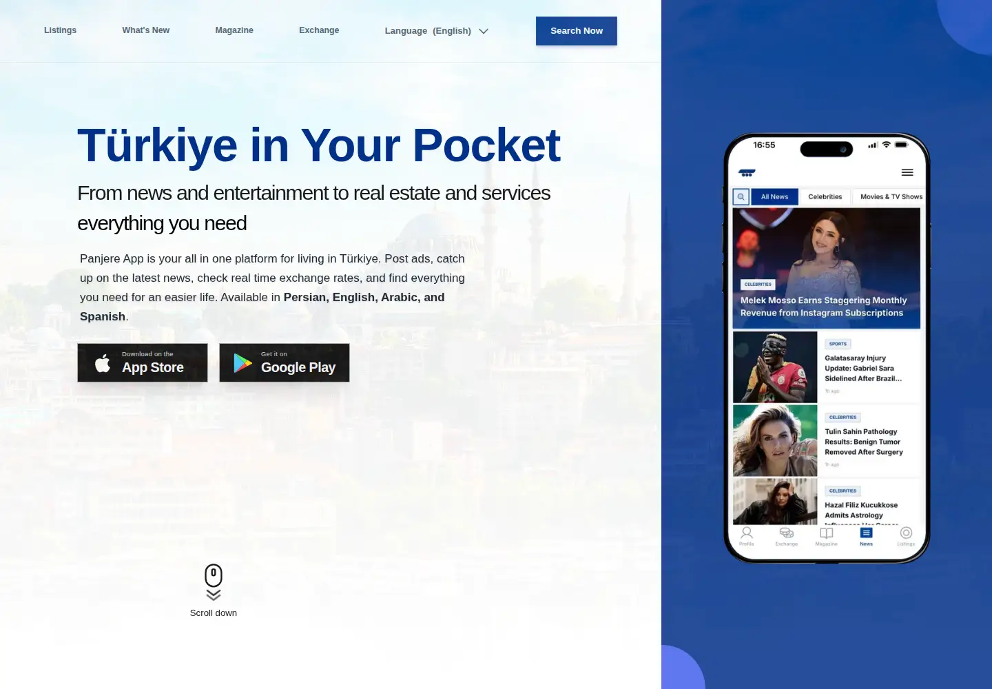 Screenshot of panjere.app