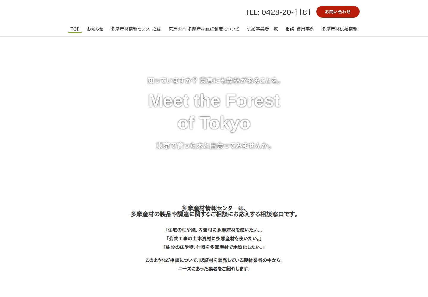 Captured homepage of tamasanzai.tokyo in the current scan
