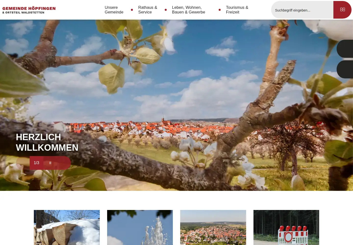 Screenshot of hoepfingen.de