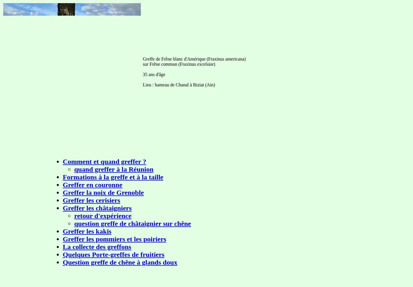 Captured homepage of greffer.com in the current scan