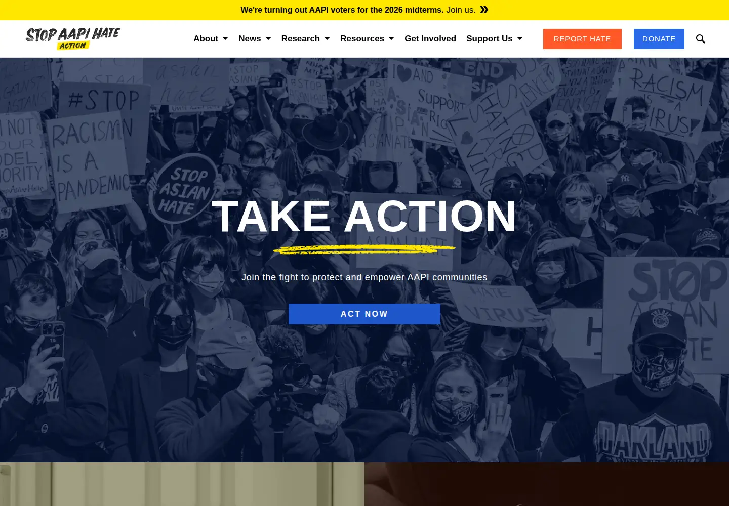 Screenshot of stopaapihate.org