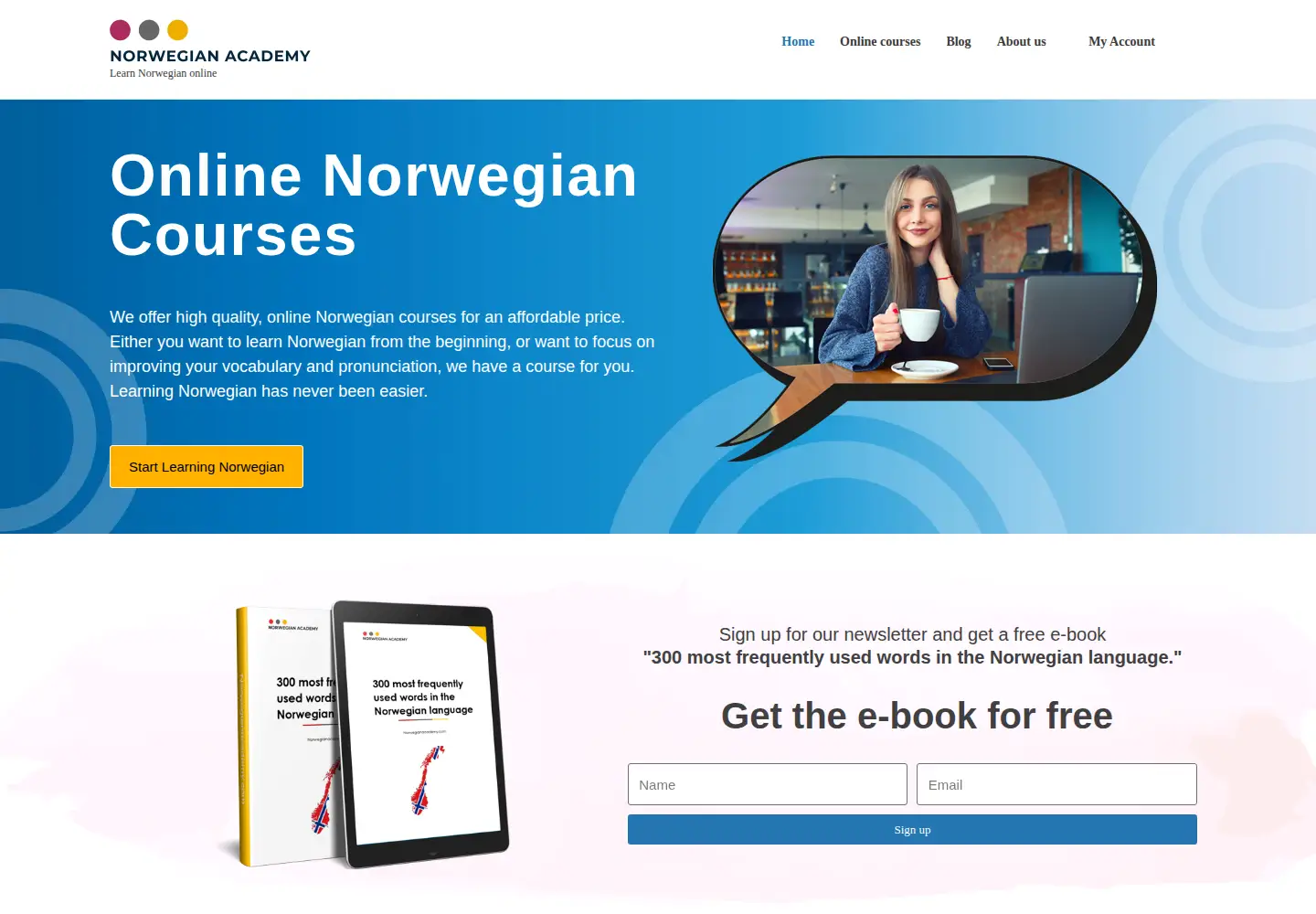 Screenshot of norwegianacademy.com