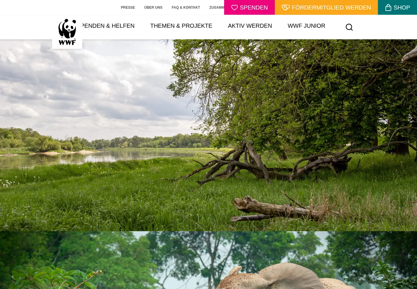 Screenshot of wwf.de