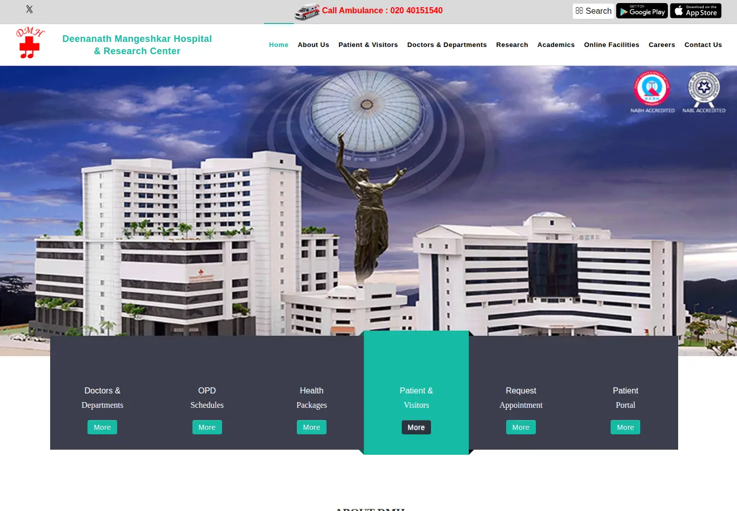 Screenshot of dmhospital.org