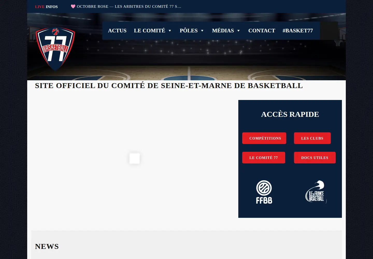 Screenshot of basket77.fr