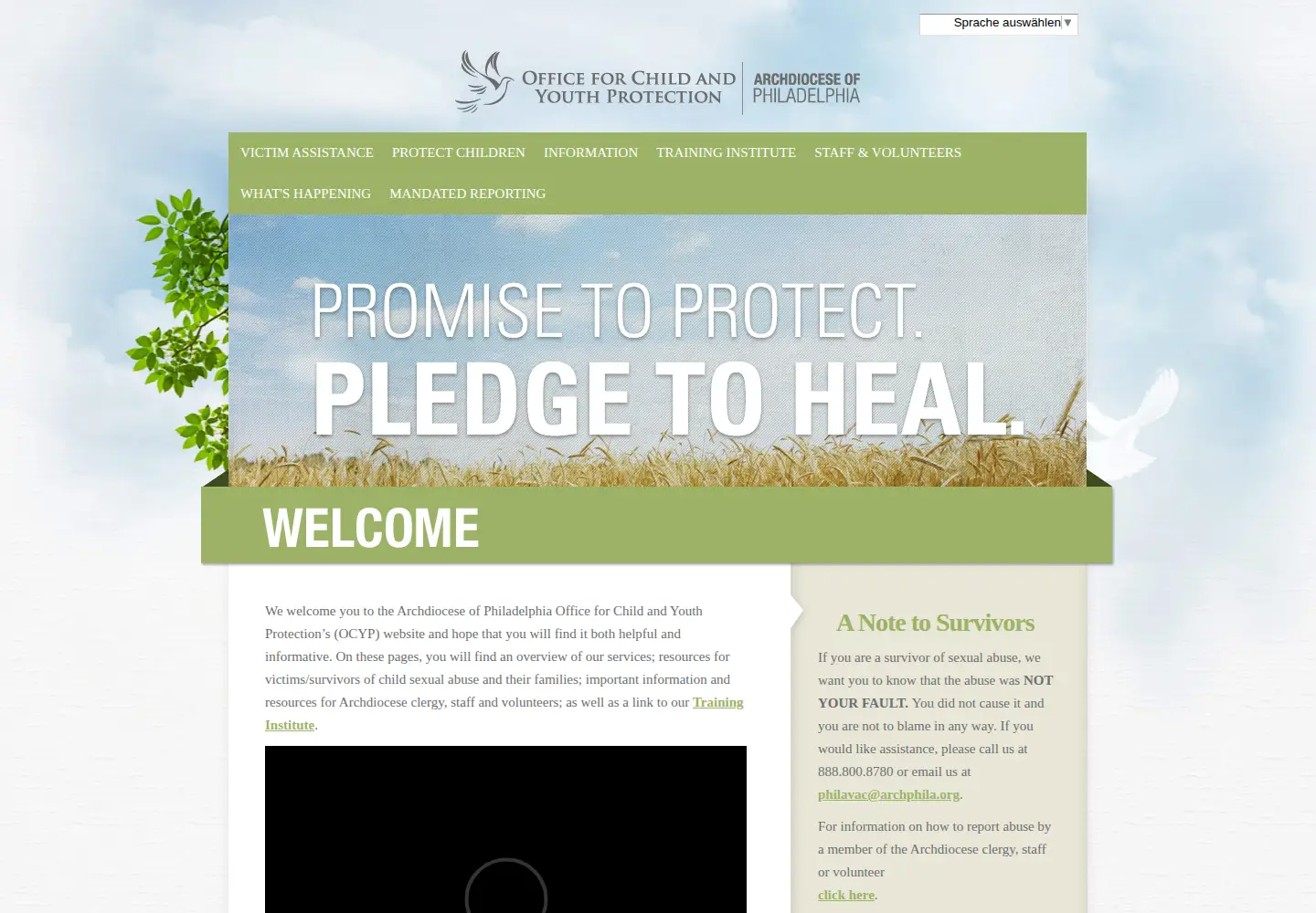 Screenshot of childyouthprotection.org