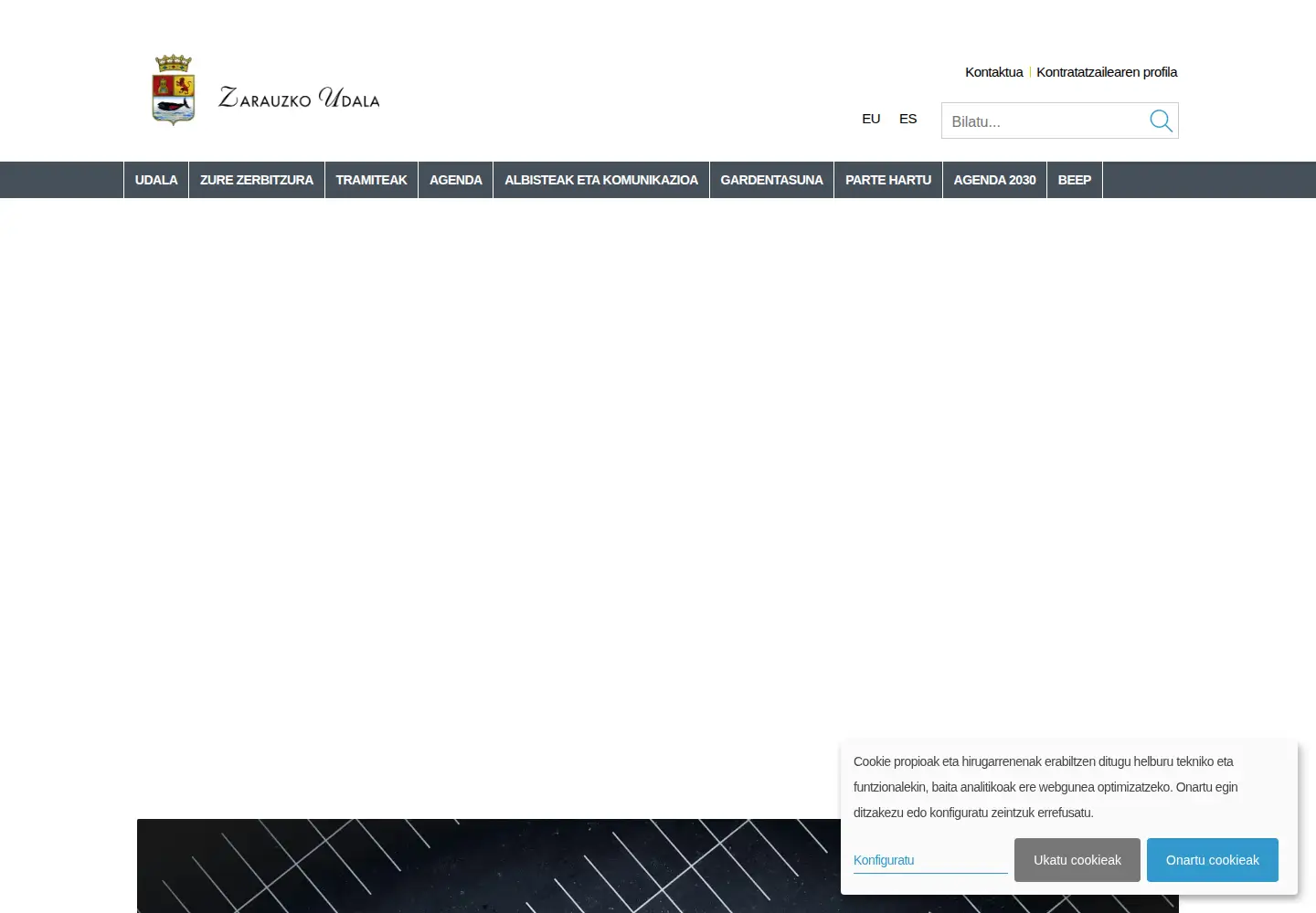 Captured homepage of zarautz.org in the current scan