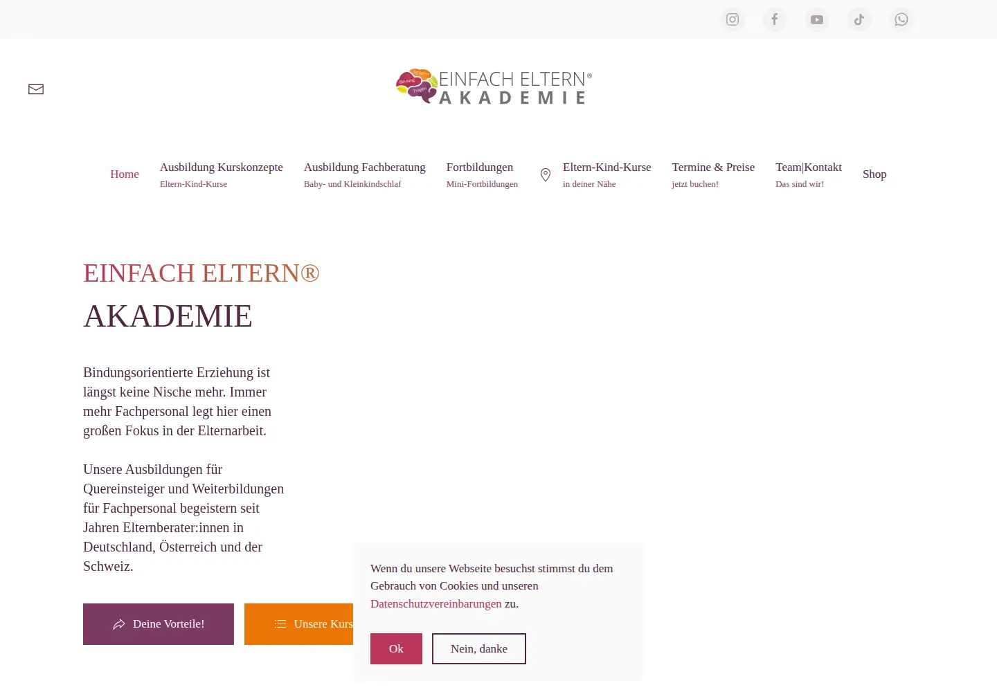 Screenshot of einfach-eltern.de