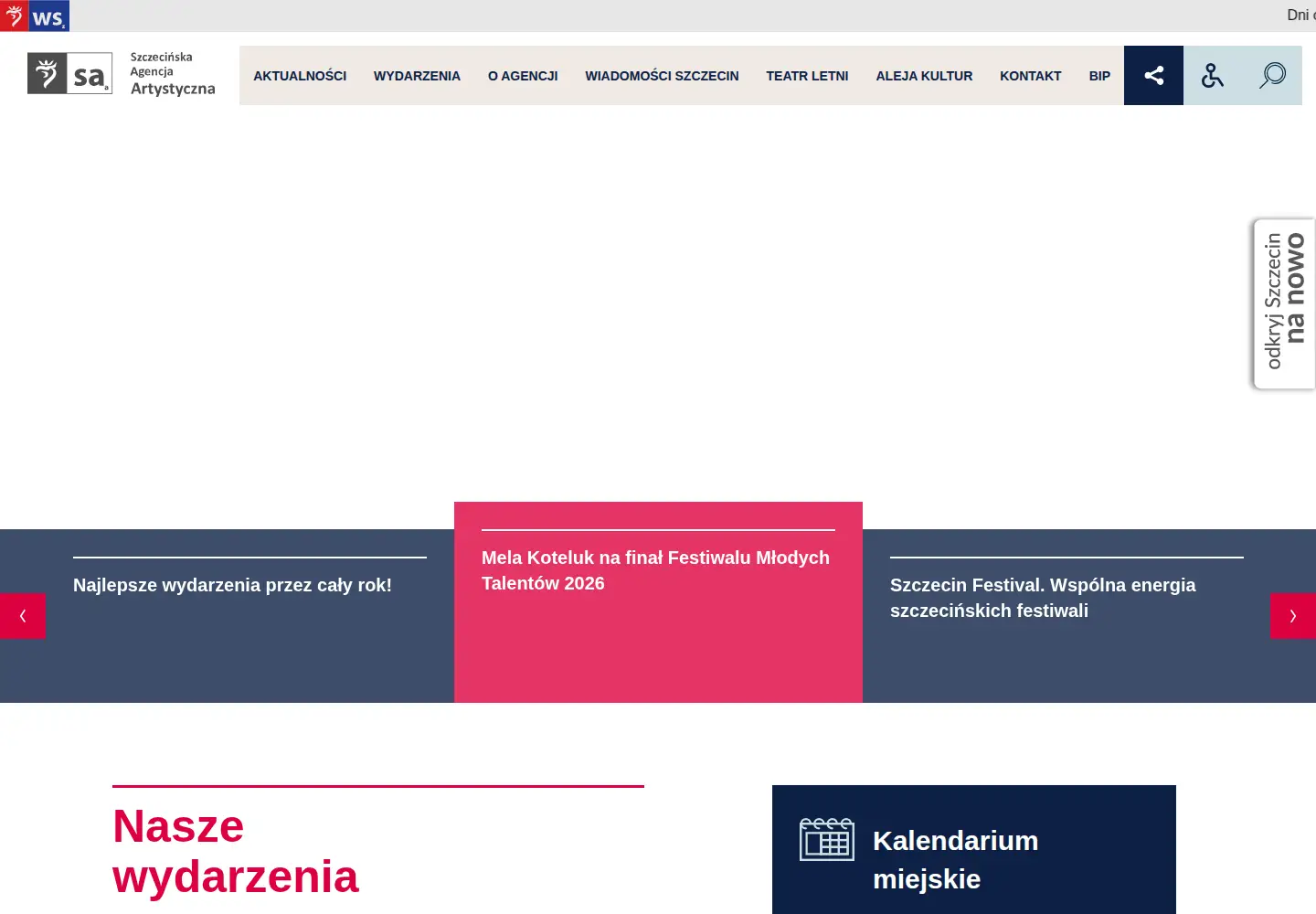 Screenshot of saa.pl