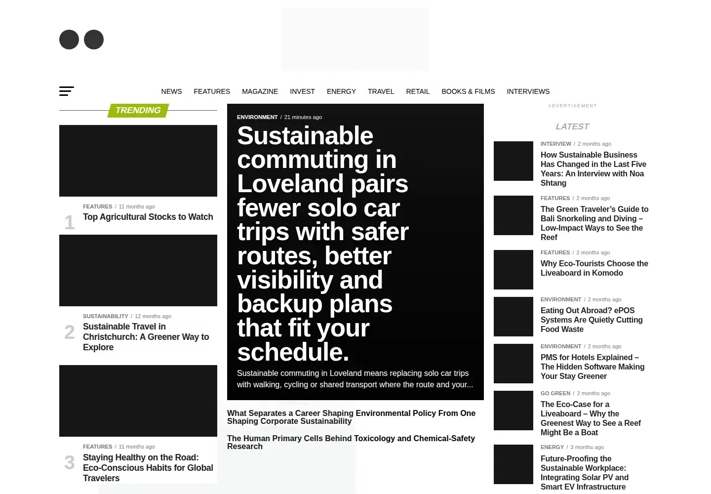 Screenshot of blueandgreentomorrow.com