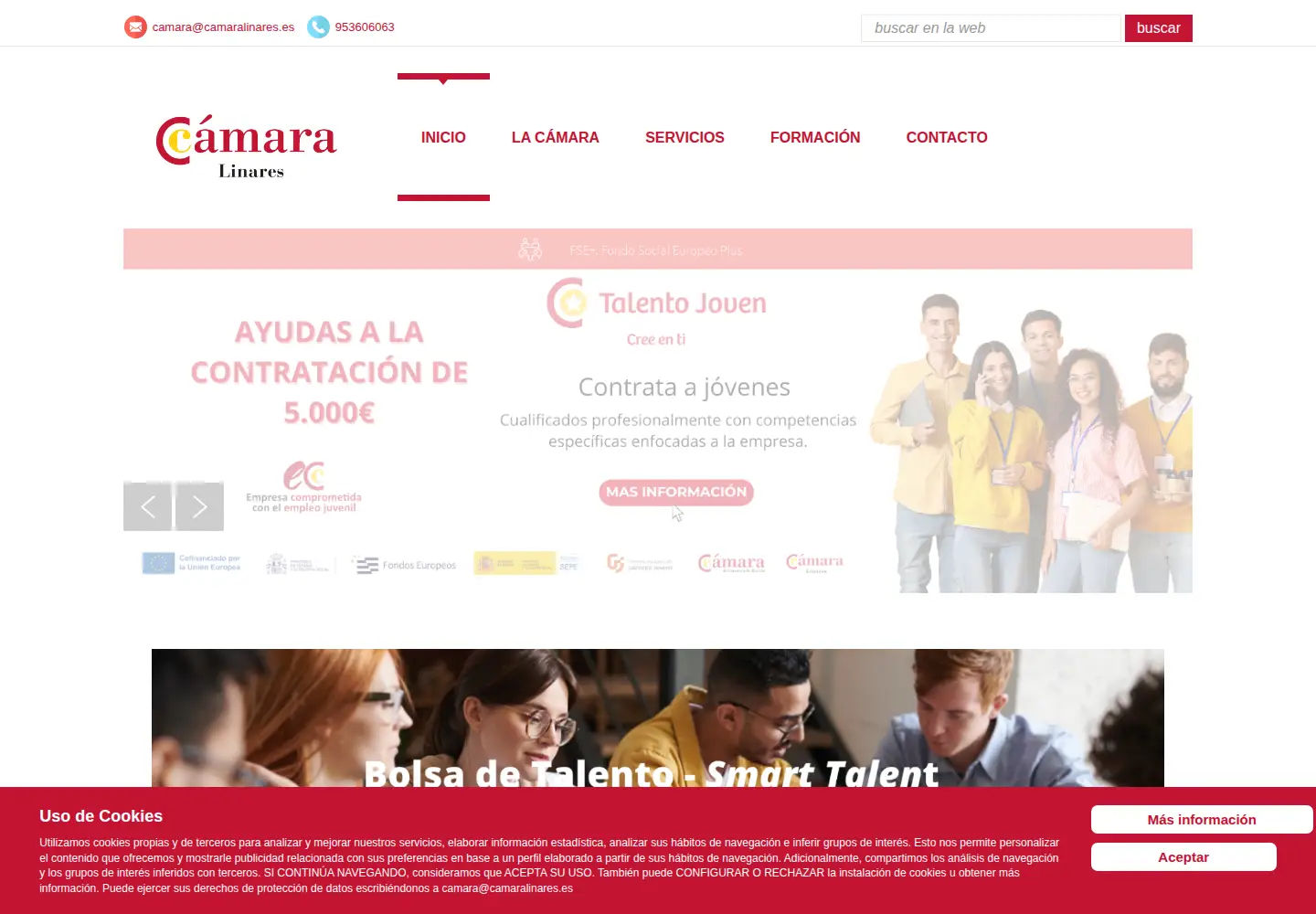 Screenshot of camaralinares.es
