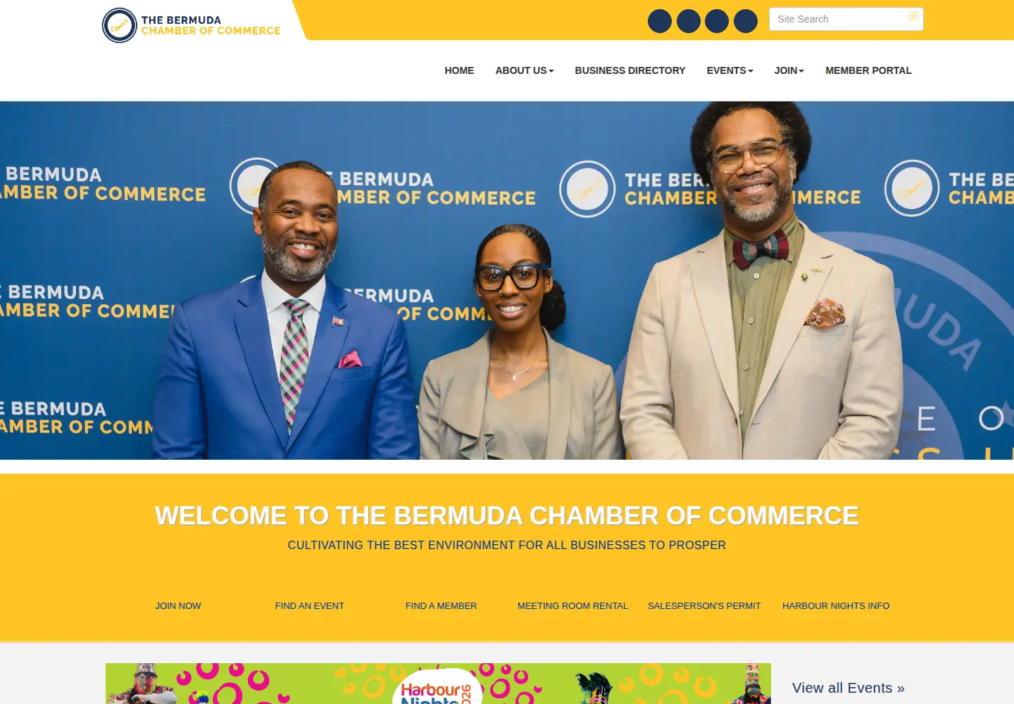 Screenshot of bermudachamber.bm