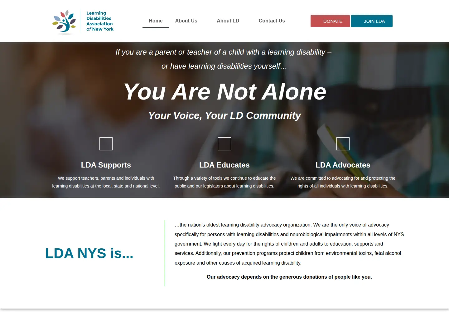 Screenshot of ldanys.org