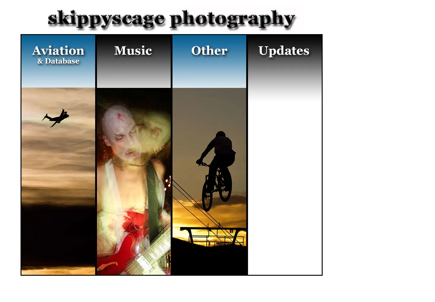 Screenshot of skippyscage.com