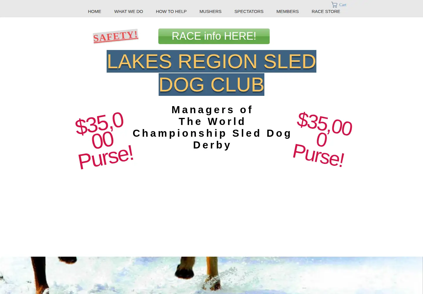 Screenshot of lrsdc.org