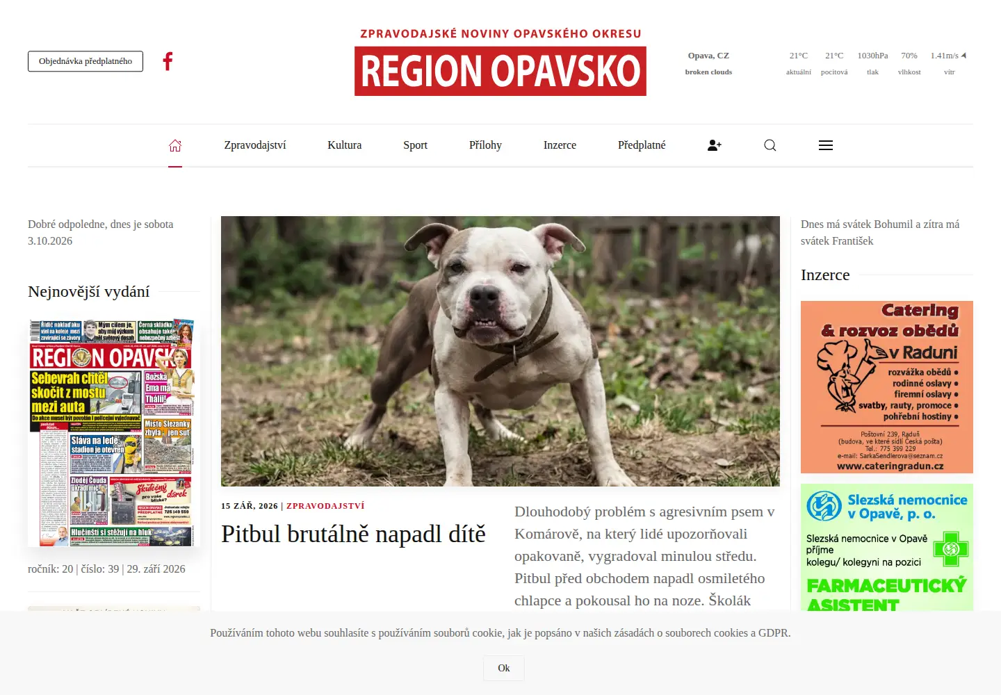 Captured homepage of regionopavsko.cz in the current scan